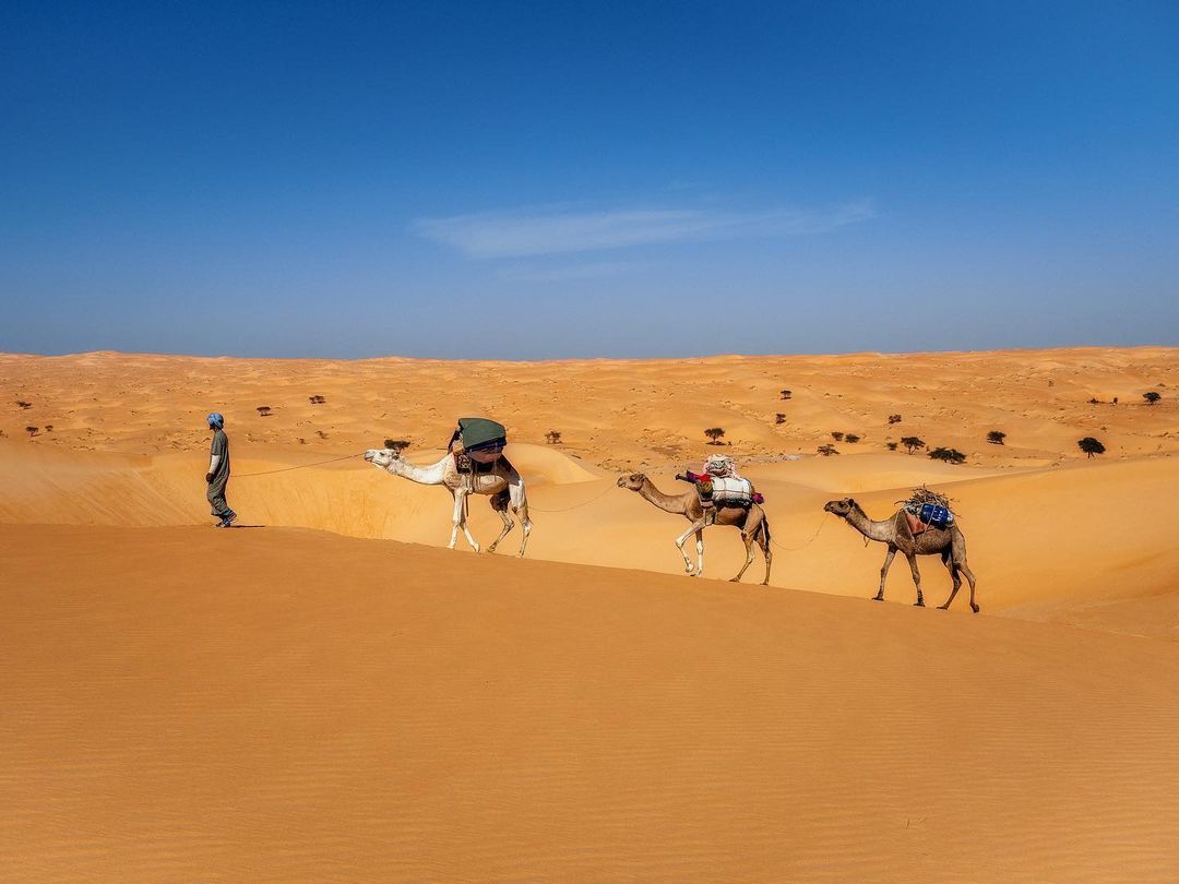 Le désert mauritanien, la destination touristique la plus agréable et la plus captivante.